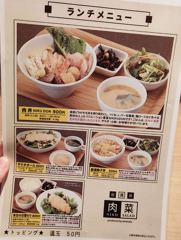 「居酒屋 肉菜 麹町店(ニクサラダ)」で「九菜ランチ(980円)」